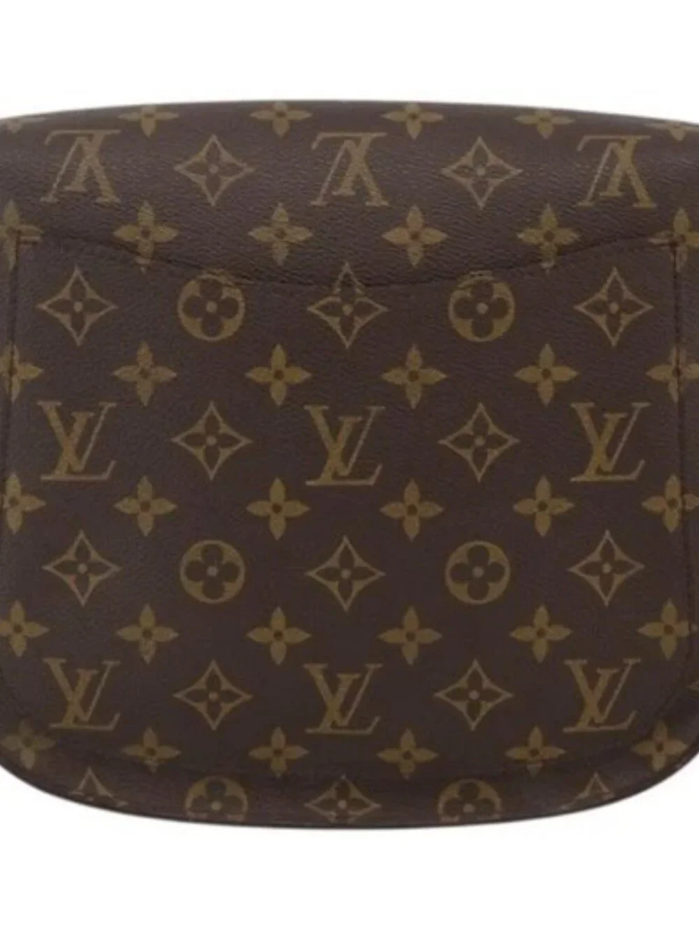 Louis Vuitton brand louis